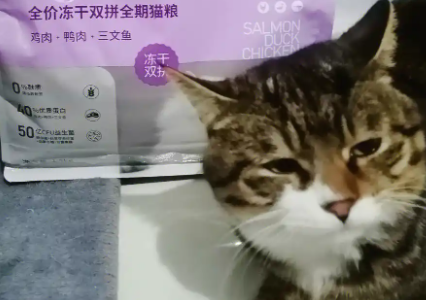 美兰西猫粮质量很差吗 美兰西猫粮质量很差吗