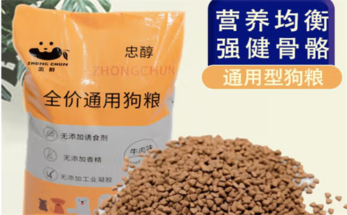 忠醇