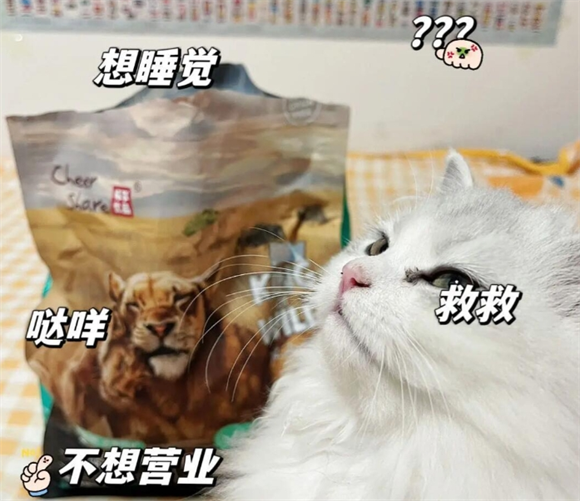 畅享优品K系列猫粮:国产猫粮新选择 畅享优品K系列猫粮:国产猫粮新选择