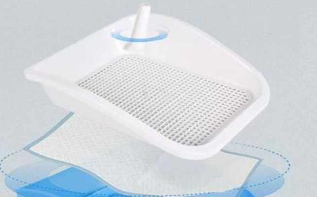獒少保宠物品牌产品特点解析