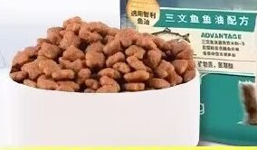 鹰迪猫粮：更好的呵护猫咪健康成长