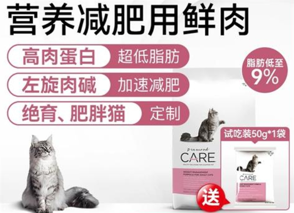 Diamond Care猫粮和卫士猫粮哪个好 Diamond Care猫粮和卫士猫粮哪个好