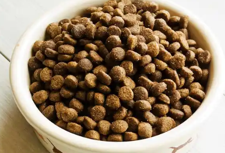 伊凡哲猫粮好不好呢?快来看看 伊凡哲猫粮好不好呢?快来看看