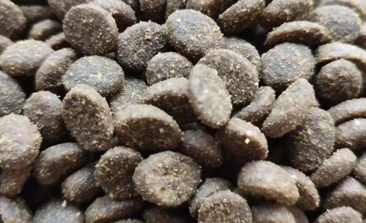 欧僖乐算是毒猫粮吗 欧僖乐算是毒猫粮吗