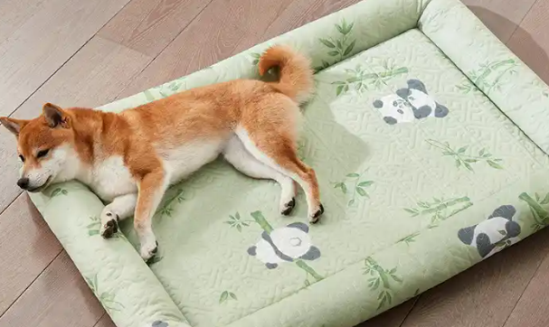 为何选SCCKIT宠物窝垫？舒适安睡是关键