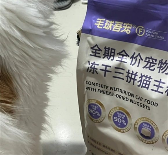 毛球吾宠猫粮吃了有泪痕吗