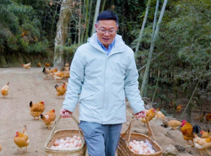 杨博士土鸡让年味更足，一口鲜美，找回童年的记忆