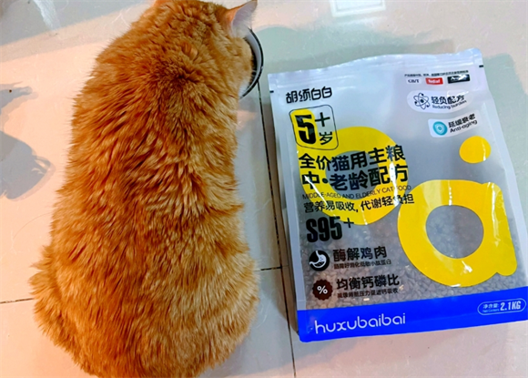 胡须白白猫粮买哪一款 胡须白白猫粮买哪一款