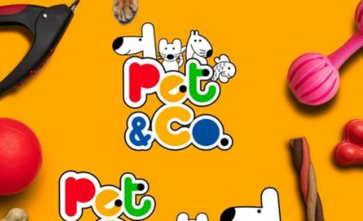 PEITE PET宠物产品用户体验 PEITE PET宠物产品用户体验