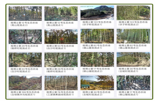 杨博士土鸡坚持科学绿色养殖，给予消费者看得见的安心放心