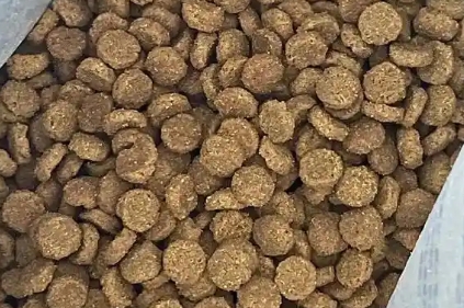 鲤余猫粮安全吗 鲤余猫粮安全吗