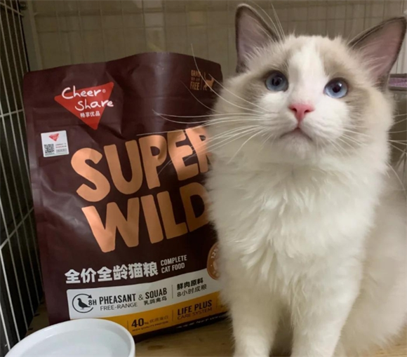 畅享优品S系列猫粮:猫咪的味蕾盛宴 畅享优品S系列猫粮:猫咪的味蕾盛宴