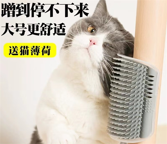悠梵萌宠物用品,猫咪玩具好选择 悠梵萌宠物用品,猫咪玩具好选择