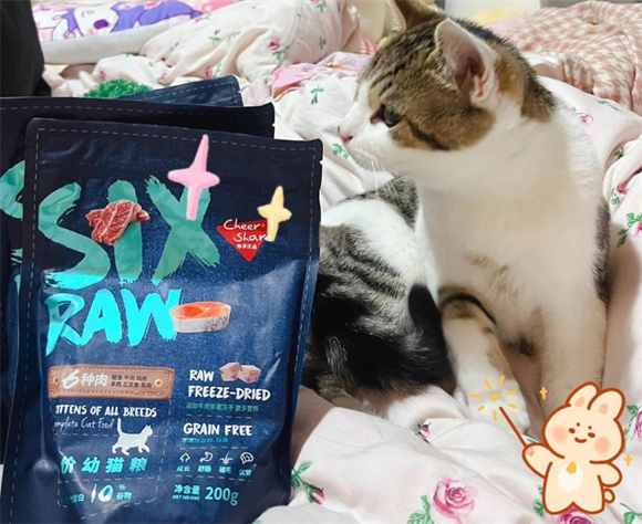 畅享优品猫粮:小猫咪的新宠口粮 畅享优品猫粮:小猫咪的新宠口粮