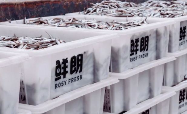 鲜朗携手中国国家地理，探寻宠粮新鲜之源！