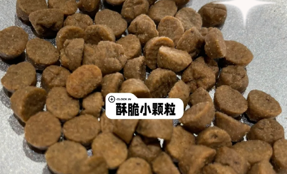 这篇鲜朗猫粮真实测评一定要看看 这篇鲜朗猫粮真实测评一定要看看