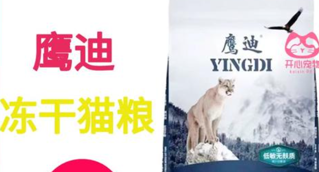 鹰迪猫粮如何？速来了解一波~