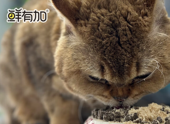 鲜有加猫粮是杂牌子吗 鲜有加猫粮是杂牌子吗