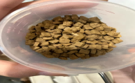 美兰西狗粮是进口的吗 美兰西狗粮是进口的吗