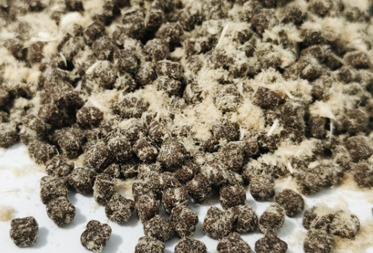 鲜有加狗粮:更好的呵护宠物健康 鲜有加狗粮:更好的呵护宠物健康