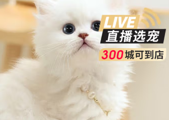 关于旺狗财猫品牌,你了解多少? 关于旺狗财猫品牌,你了解多少?