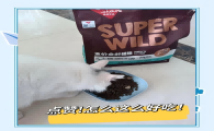 新手养猫的必备！畅享优品全价猫粮推荐