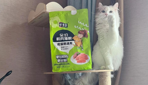荤多多猫粮哪个国家的品牌 荤多多猫粮哪个国家的品牌