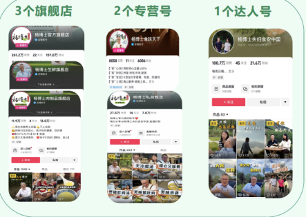 为现代人打造放心餐桌，杨博士深山散养土鸡“飞”向全国各地