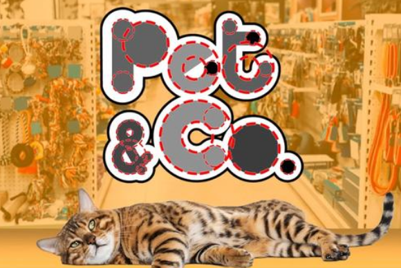 PEITE PET宠物产品特点解析 PEITE PET宠物产品特点解析