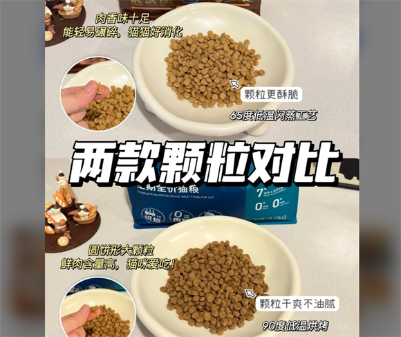 弗列加特和鲜朗猫粮大比拼，哪款更适合你？