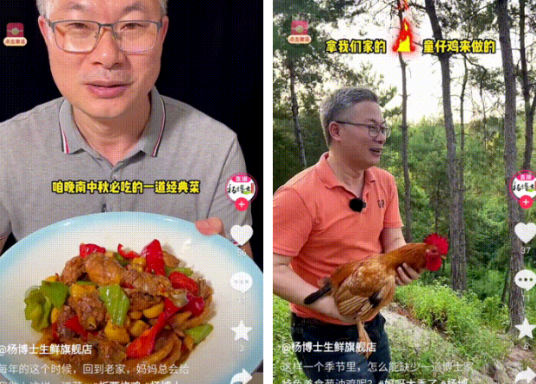 杨博士深山散养土鸡：从深山到餐桌，做可持续的畜牧养殖事业
