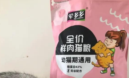 荤多多猫粮多少钱 荤多多猫粮多少钱
