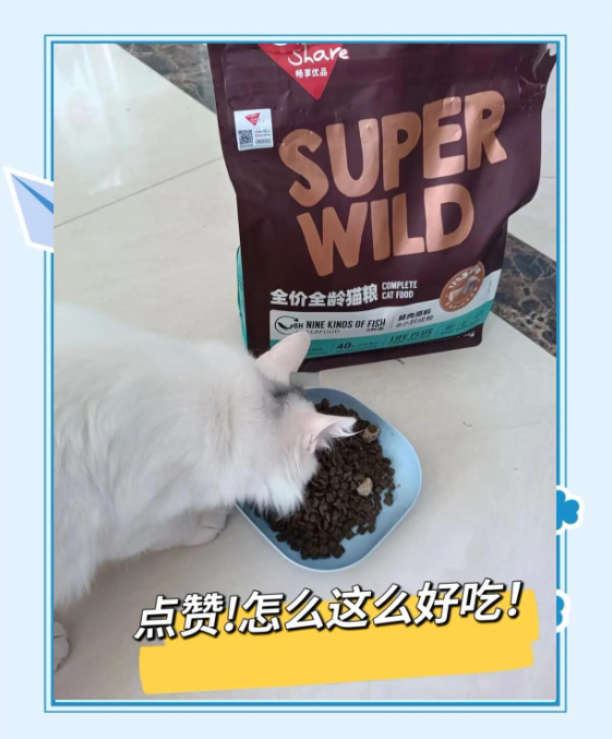 新手养猫的必备！畅享优品全价猫粮推荐