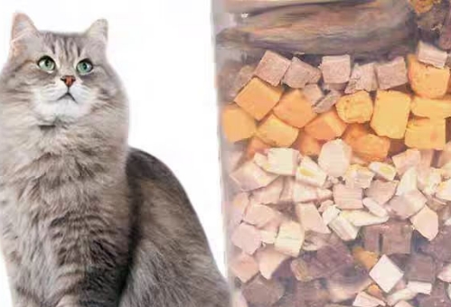 坏小宠猫冻干好不好