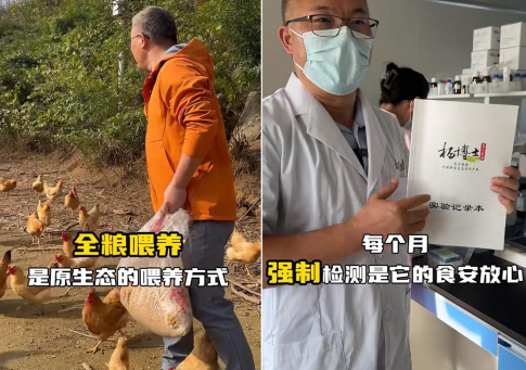 大吉大利,过年吃鸡!购买品质鸡肉认准杨博士深山散养土鸡 大吉大利,过年吃鸡!购买品质鸡肉认准杨博士深山散养土鸡