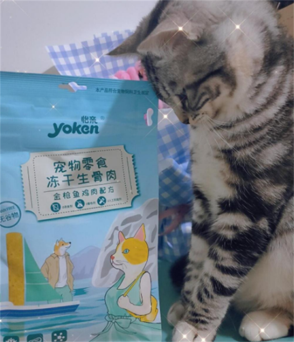 怡亲生骨肉测评：猫咪的肉食盛宴