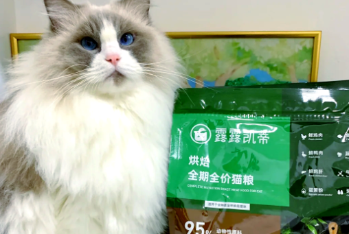 露露凯蒂猫粮属于什么档次