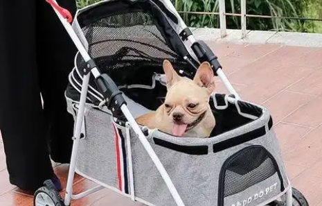 依比呀呀宠物推车好吗 依比呀呀宠物推车好吗