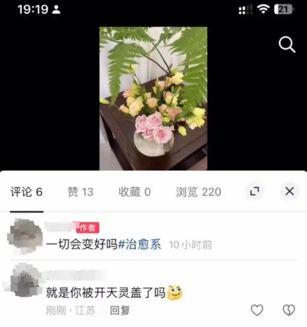 宠物狗送去驯化成网红，主人拿回狗狗被要求签“百万赔偿合同”