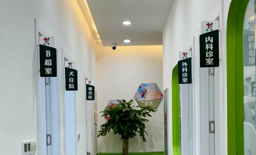贝乐宠物医院专业吗 贝乐宠物医院专业吗