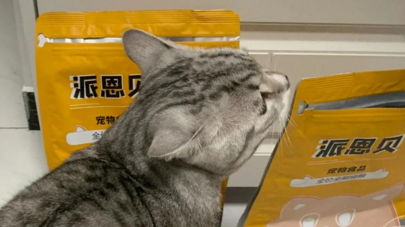 派恩贝猫粮口碑怎么样 派恩贝猫粮口碑怎么样