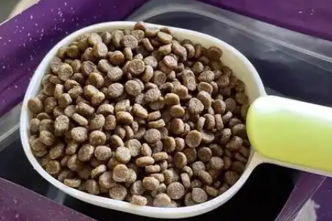 层层乐猫粮哪个口味好