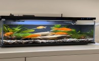 如何调节鱼缸水质酸碱性