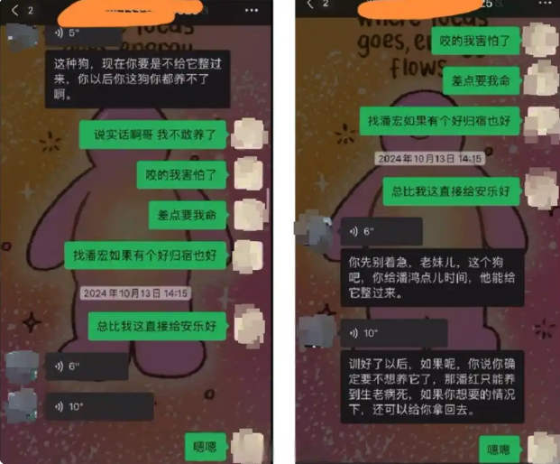 宠物狗送去驯化成网红，主人拿回狗狗被要求签“百万赔偿合同”