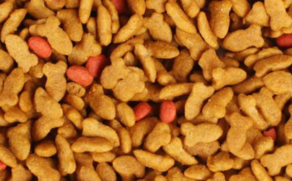 浦力顿猫粮靠谱吗 浦力顿猫粮靠谱吗