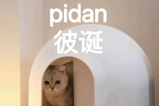 pidan彼诞：为猫咪打造独特产品