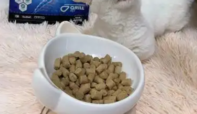 优起特猫粮是哪个国家的 优起特猫粮是哪个国家的