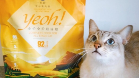 亿欧猫粮什么档次