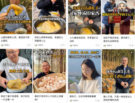 为现代人打造放心餐桌，杨博士深山散养土鸡“飞”向全国各地