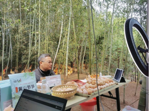 杨博士土鸡坚持科学绿色养殖，给予消费者看得见的安心放心